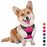 BARKBAY No Pull Dog Harness Large Step in Reflective Dog Harness with Front Clip and Easy Control Handle for Walking Training Running(Pink,M)
