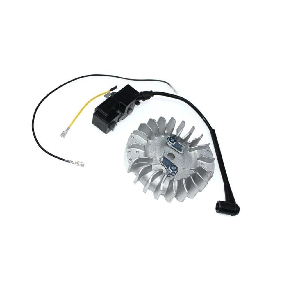 Bobine d'allumage et volant moteur pour réparer les ratés du modèle 455