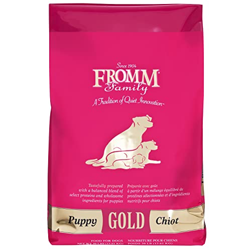 Unleash The Golden Goodness Discover The Top 10 Gold Dog Foods For A