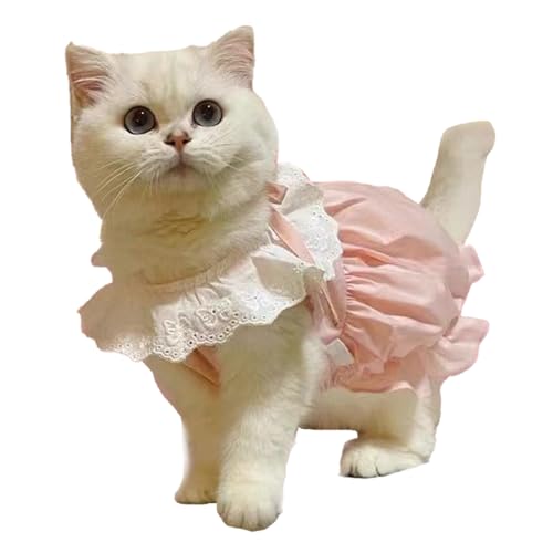 Vestido Bonito para Mascotas para Gatos y Perros maltés, Traje de Verano Ligero y Transpirable, Vestido Fino y cómodo para perritas para Paseos y sesiones de Fotos en Primavera y v (l)