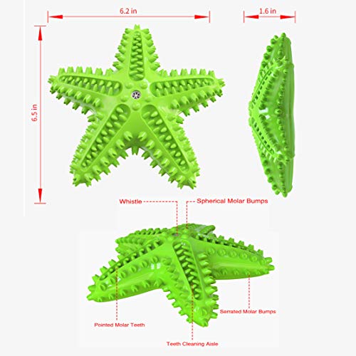 Image of Squeaky Dog Toys - Starfish Natural Teeth Cleaning Toy for Small & Medium Dogs (Green)