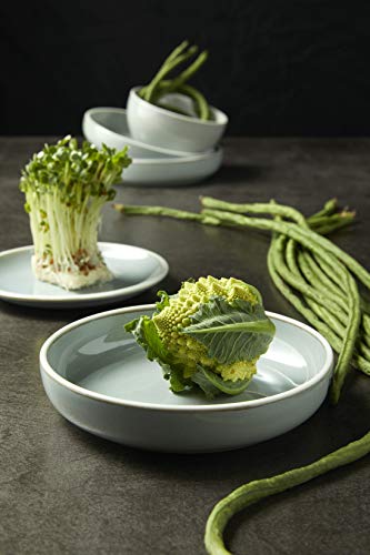 Plato de sushi gris estrecho de porcelana 11 pulg miniatura 4
