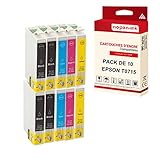  NOPAN-INK - x10 Cartouches Compatible pour Epson T0715 XL T0715XL (Guépard) Compatible pour Epson Epson Stylus D 120 Stylus DX 4000 4050 4400 4450 5050 74