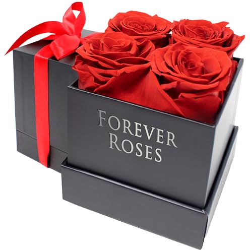 Preserved Flowers in a Box - Forever Roses Girlfriend Gift Ideas, for Sister, Mom, for Wife, Bride Gift, Anniversary, Valentines Gift for Her, 4 Infinity Roses in a Box - Main Image