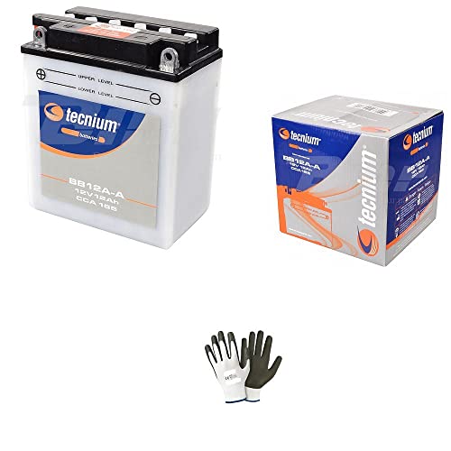 Kompatibel mit Cagiva 125 Elefant 1994 Batterie bereits gebrauchsfertig Technisch JIS YB12A-A Batterien 12 Ampere 12 Volt spezifisch Motorrad Scooter 134 x 80 x 160 mm