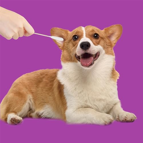Large-Cotton-Swabs-with-Wooden-Sticks-for-Pets-100-Pack6-Inch-Big-Cotton-Swabs--Long-Cotton-Swabsdog-ear-swabslong-cotton-swab-dog-ear-swabsSpecially-Designed-for-Petscleaning-solution - Cucciolini Doodles   Large-Cotton-Swabs-with-Wooden-Sticks-for-Pets-100-Pack6-Inch-Big-Cotton-Swabs--Long-Cotton-Swabsdog-ear-swabslong-cotton-swab-dog-ear-swabsSpecially-Designed-for-Petscleaning-solution
