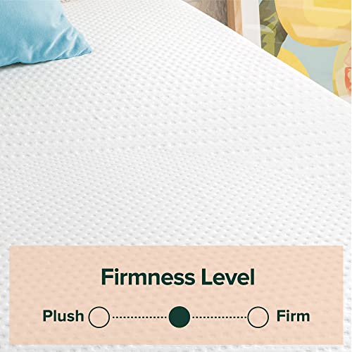 Image of Zinus 8 Inch Green Tea Essential Memory Foam Mattress, Queen, Mattress in A Box, Affordable Mattress, CertiPUR-US Certified