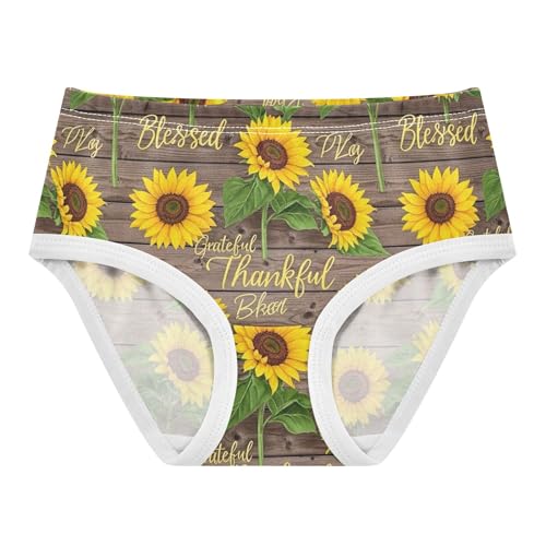 EOSDT Ropa interior de algodón para niñas pequeñas, girasoles amarillos, día de Acción de Gracias, lindas bragas estéticas para niña, 2t, Girasoles amarillos Día de Acción de Gracias, 24 meses