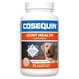Nutramax Laboratories Cosequin Maximum Strength Joint Health Supplement for Dogs – With Glucosamine, Chondroitin, MSM, and Hyaluronic Acid, 75 Chewable Tablets (Pack of 1)