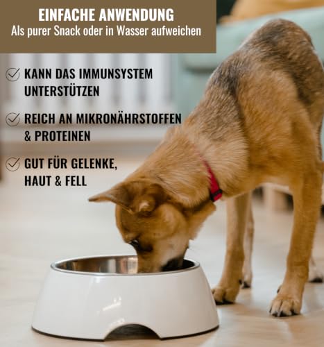 100% Entenbrust Hundesnacks gefriergetrocknet - Proteinreich, fettarm & getreidefrei Natürlicher Barf Snack & Futtertopper für Hunde Ohne Zusätze, knusprig & gesund von RiNa