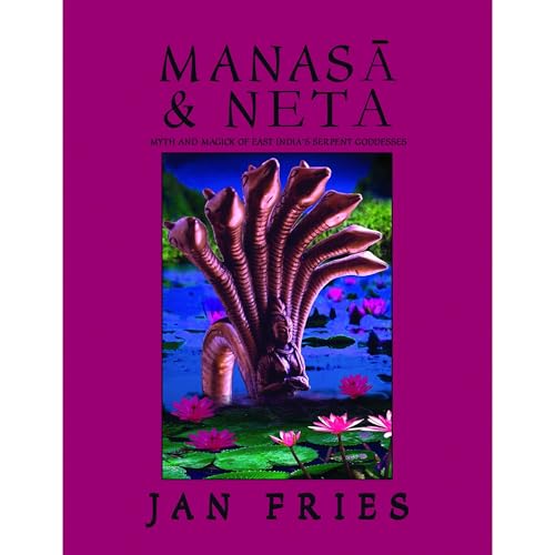 Manasa and Neta Audiolibro Por Jan Fries arte de portada