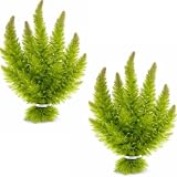 Swimming Creatures™ Live Aquarium Plants (2 Large Bunch Hornwort)