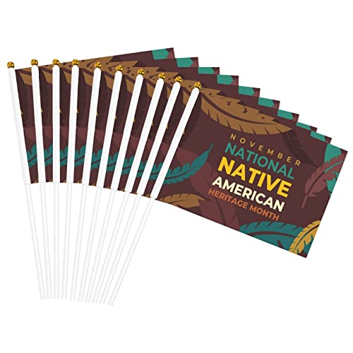 Native American Heritage Month Indigenous Pride Small Mini Flags Hand