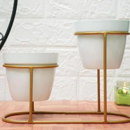 Image of UMAI Planter | Desktop Flower Planter | Home Decor Flowers Pot | Balcony Flower Pot | Flower Planter for Office Decor | Double Planter with Golden Stand | White