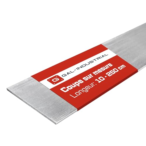 Barre Plate Aluminium 100x4 mm profilé plat résistant corrosion extérieur 140 cm
