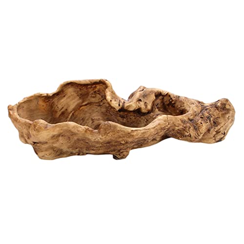 Sculptural Driftwood Planter for Display