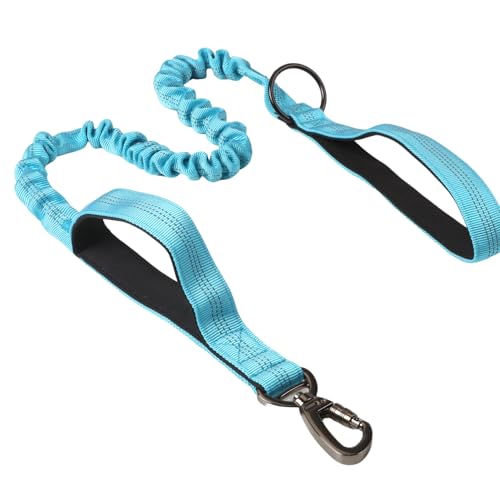 Heavy Duty Dog Leash with Dual Padded Handles, Reflective Stitching, Bungee Shock Absorber - 23-50in Adjustable Nylon Leash, Blue