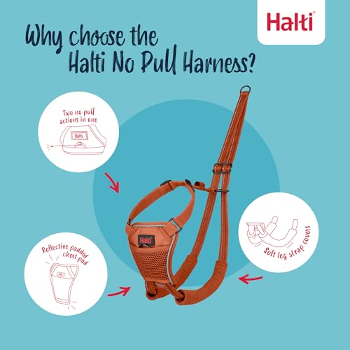 Image of Halti No Pull Dog Harness | Size S, Burnt Orange