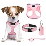 YIMEIS Dog Harness and Leash Set, No Pull Soft Mesh Pet Harness, Reflective Adjustable Puppy Vest for Small Medium Large Dogs, Cats (Pink-Update, X-Small (Pack of 1)