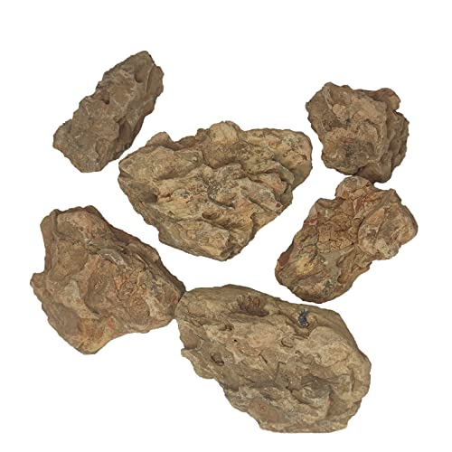 Tfwadmx Große natürliche Ohko Drachenstein Aquarium Felsen Dekor Kits Aquascape Felsen Landschaft Aquarium Dekor 4,5 kg Cover