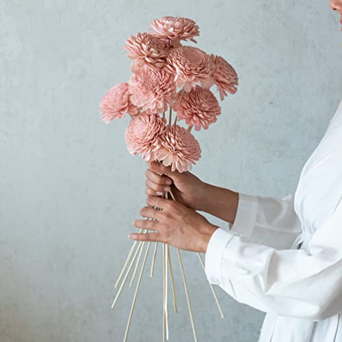 Image of Pink Sola Belly Flowers On Stem | Natural Dried Flower | Eco-Friendly Flowers for Home, Office, Bedroom, Table Decoration and Craft Items Corner (Without Vase Pot)