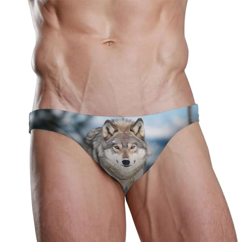 Wolf Men's Swimwear Sexy Bikini Solid Siwmming Briefs L 208541372