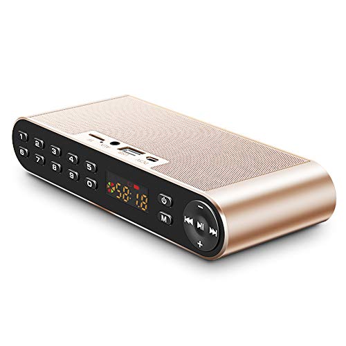 Petit son de haute qualité avec ce haut-parleur Bluetooth doré au design subwoofer épuré