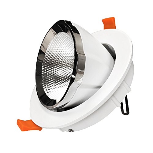 G.W.S® 30W Directional Adjustable Recessed LED Gimbal Light Scoop Retail Downlight Warm White, LED Driver Included