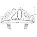 BABEYOND Crystal Birthday Tiara Crown Princess Birthday Crown Hair Accessories Happy 20th Birthday Crown Tiara for Women (20 Birth)