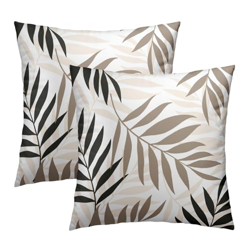 Decorative Outdoor Black and Cream Throw Pillow...