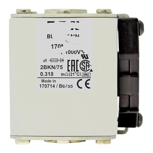 Fusible 170M5931 série cube standard européen type d'installation à extrémité plate