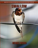 Swallow: Beautiful Pictures & Interesting Facts Children Book about Swallow 1795603372 Book Cover