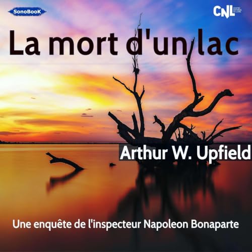 La mort d&rsquo;un lac cover art