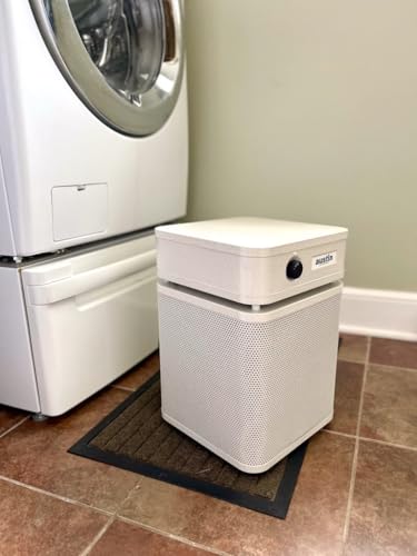 Image of Austin Air HealthMate Plus Junior Air Purifier, Sandstone, Model A250