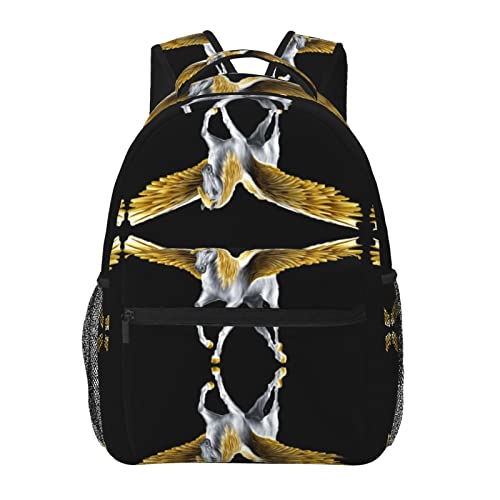 Pegasus leichter lässiger Studenten-Rucksack – leicht und tragbar, geeignet für Schule, Arbeit, Wochenendurlaub, Reisen, 20 x 29 x 30 cm., Schwarz, Einheitsgröße