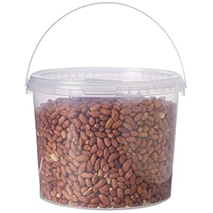 Garden Ting Premium Peanut Kernels, Wild Bird Food Tub, 3 Litre