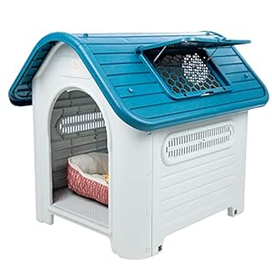 Cozy Shelter with Raised Floor