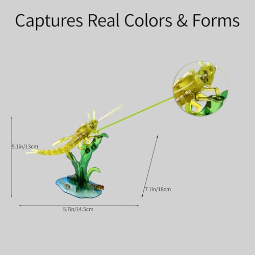 HELLOTOY 3D Acrylic Insects Puzzles DIY Bug Model Kit for Teenagers Educational Display Nature Decoration Figurine Sculpture (Mayfly) — view 4