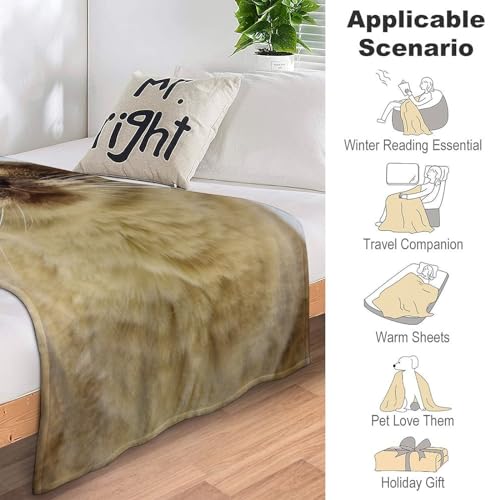 Couverture polaire douce chaude chat mignon jeté de canapé flanelle - 8