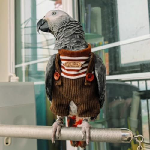 Fantasia de pássaro fofo, acessório para fotos de cosplay de papagaio, pano de pássaro para festas d