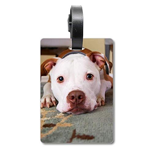 Étiquette de valise bouledogue blanc pour ne plus perdre son sac de voyage