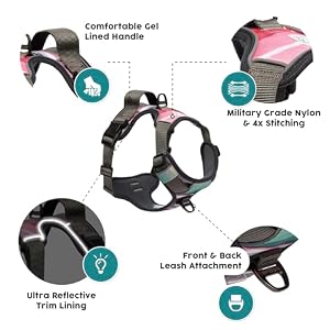 Embark Urban Dog Harness, No Pull Dog Harness with 2 Leash Clips, Dog Harness for Medium Dogs No Pull. Front & Back with Control Handle, Adjustable Dog Vest, Soft & Padded for Comfort Embark Urban Dog Harness, No Pull Dog Harness with 2 Leash Clips, Dog Harness for Medium Dogs No Pull. Front & Back with Control Handle, Adjustable Dog Vest, Soft & Padded for Comfort