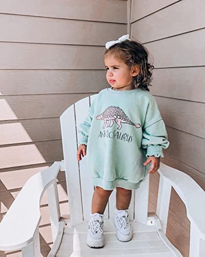 Cute Toddler Baby Girl Boy Dinosaur Sweatshirt Long Sleeve Dino Letters Print Pullover Shirt Top Fall Winter Outfit (Green, 2-3T) #TOP6
