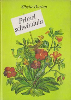 Primel schwindula