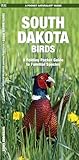 South Dakota Birds: A Folding Pocket Guide to Familiar Species (Pocket Naturalist Guide Series)
