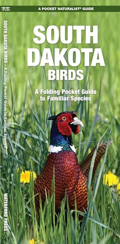 South Dakota Birds (Nature Observation North America)
