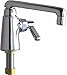 Chicago Faucet 349-XKABCP Single Pantry Faucet with Ceramic