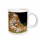 3dRose Michigan, Detroit Zoo, tiger at rest - US23 DGU0007 - Darrell Gulin 15oz Mug