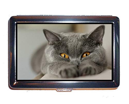 Wie viel sollte eine Katze essen? Expertentipps