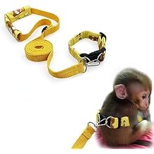 Belly Bands and Matching Leash for Marmoset Monkeys with Adjustable Buckle Waist Circumference Less Than 8 Inches Comfortable Washable Durable